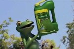 Evergreen Complete - Frog